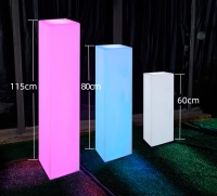 Светильник Колонна 30х60 питание от сети 220В, RGB